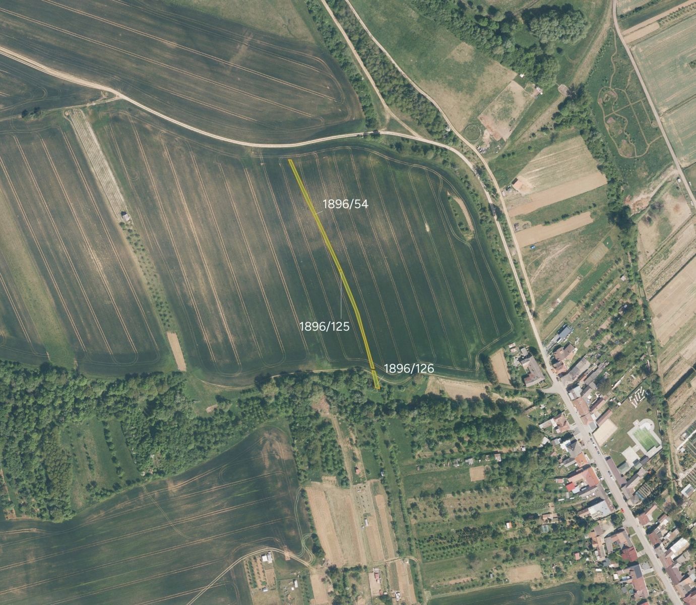 Prodej zemědělský pozemek - Jalubí