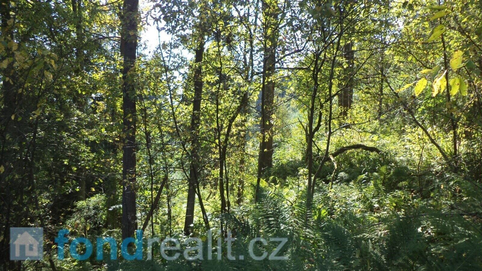 Ostatní, Roztoky u Semil, 15 m²