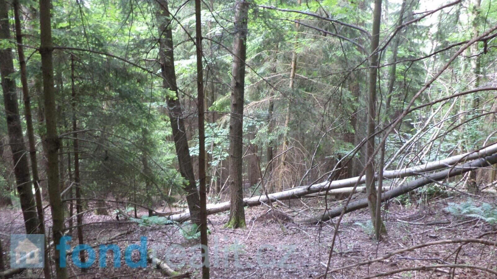 Prodej pozemek - Dolní Dobrouč, 4 634 m² - 5