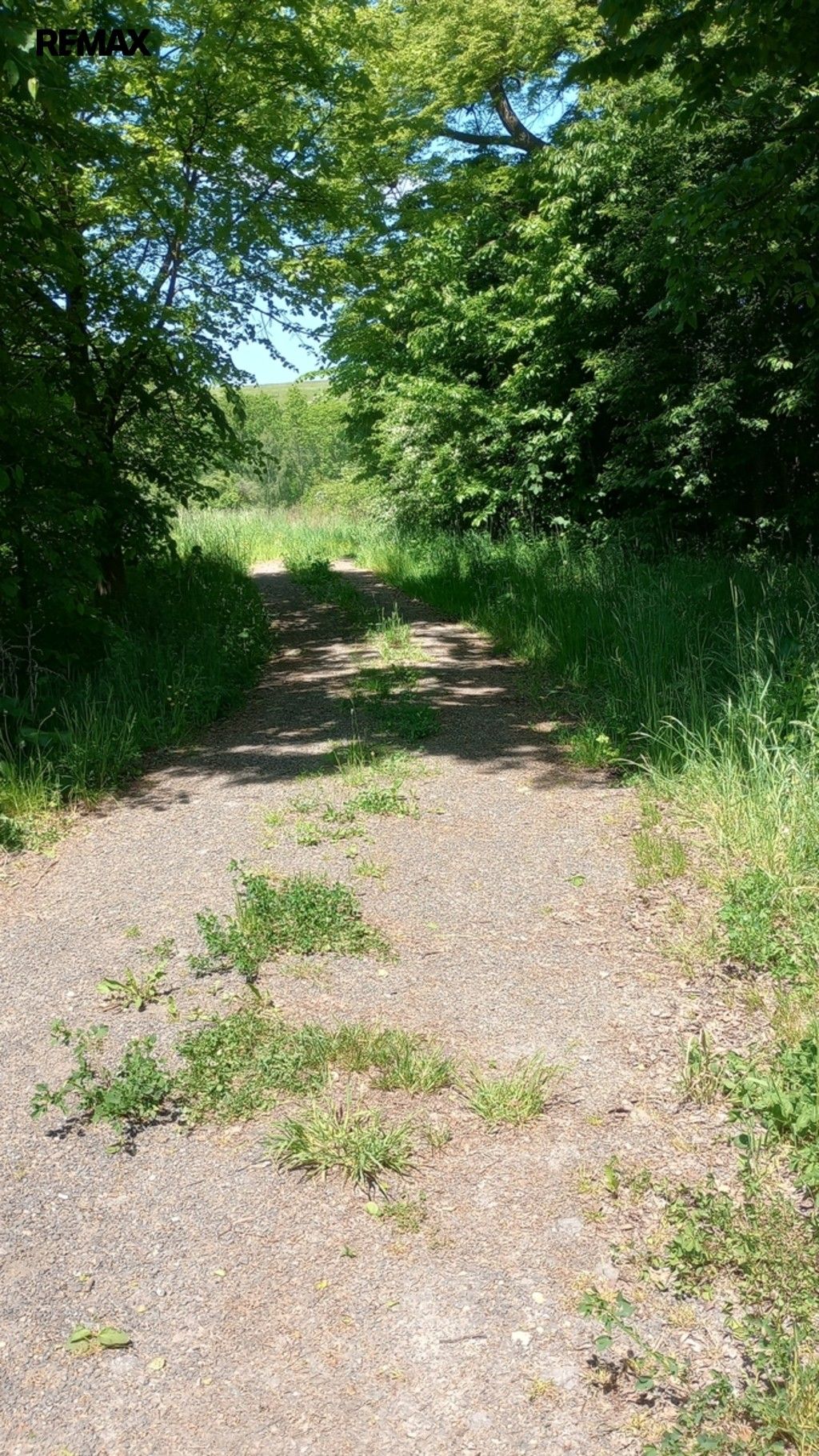 Pozemek pro bydlení · 946 m² · Anenská Studánka - 4
