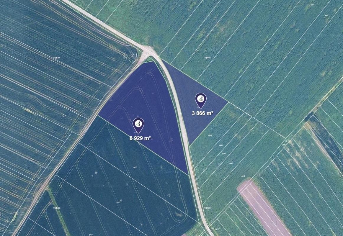 Zemědělský pozemek, 4 265 m²