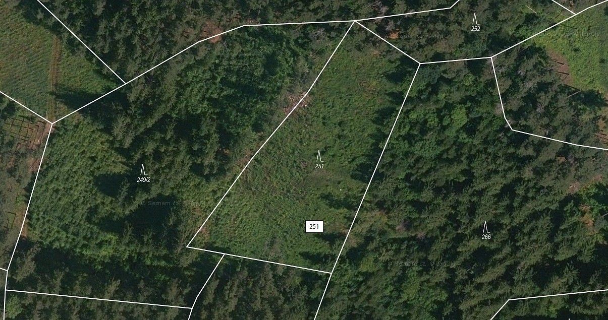 Lesy, Přechovice, okres Strakonice, Jihočeský kraj - 1