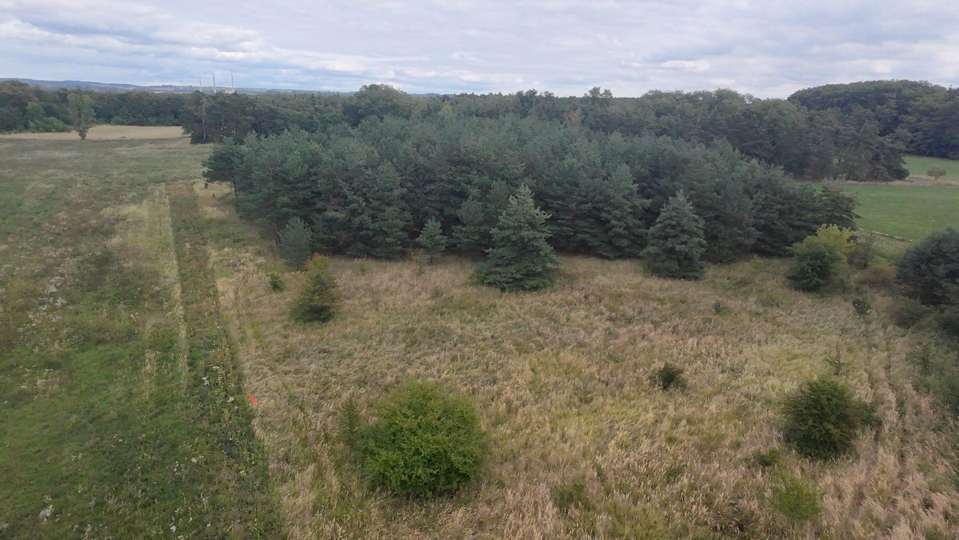 Ostatní, Předonín, 15 382 m² - 1