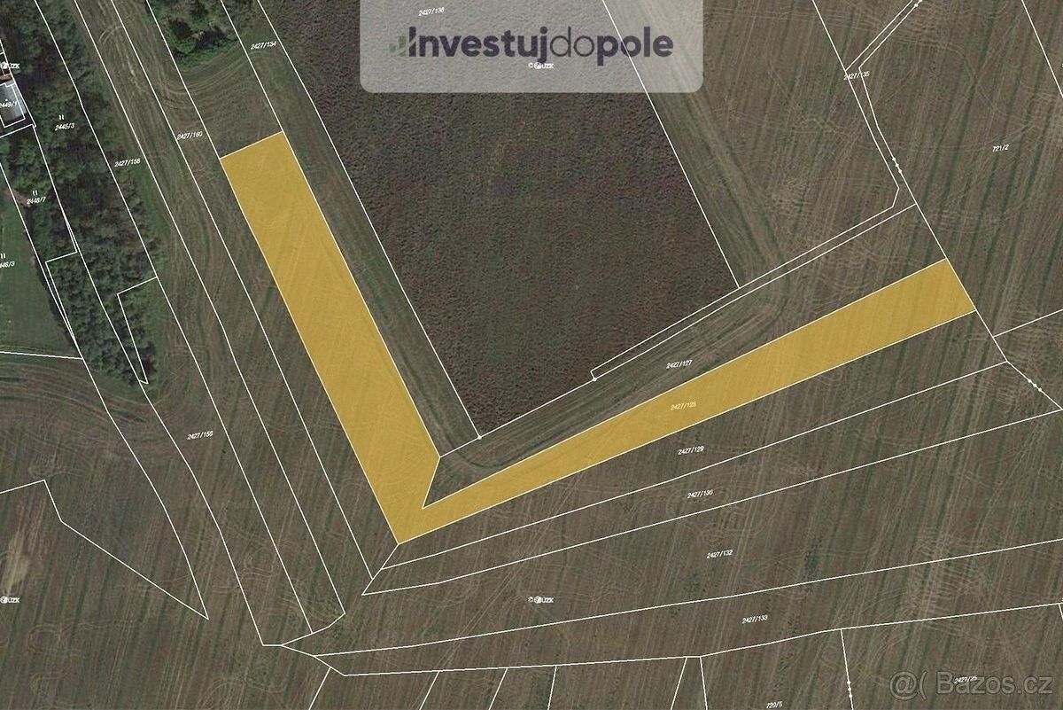 Prodej zemědělský pozemek - Třemošná, 330 11, 7 281 m²