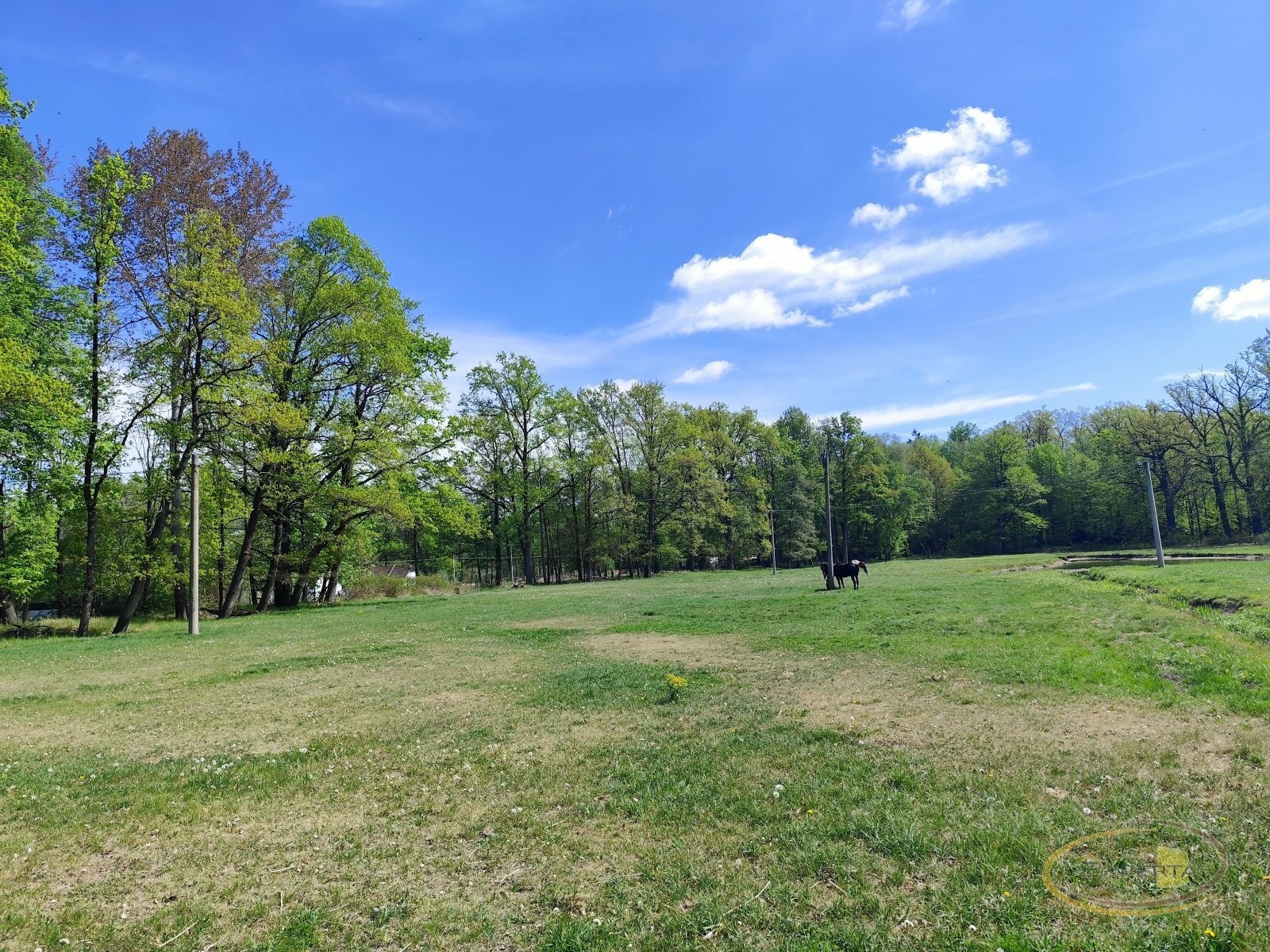 Louka · 2 500 m² · Třeboň Branná - 3
