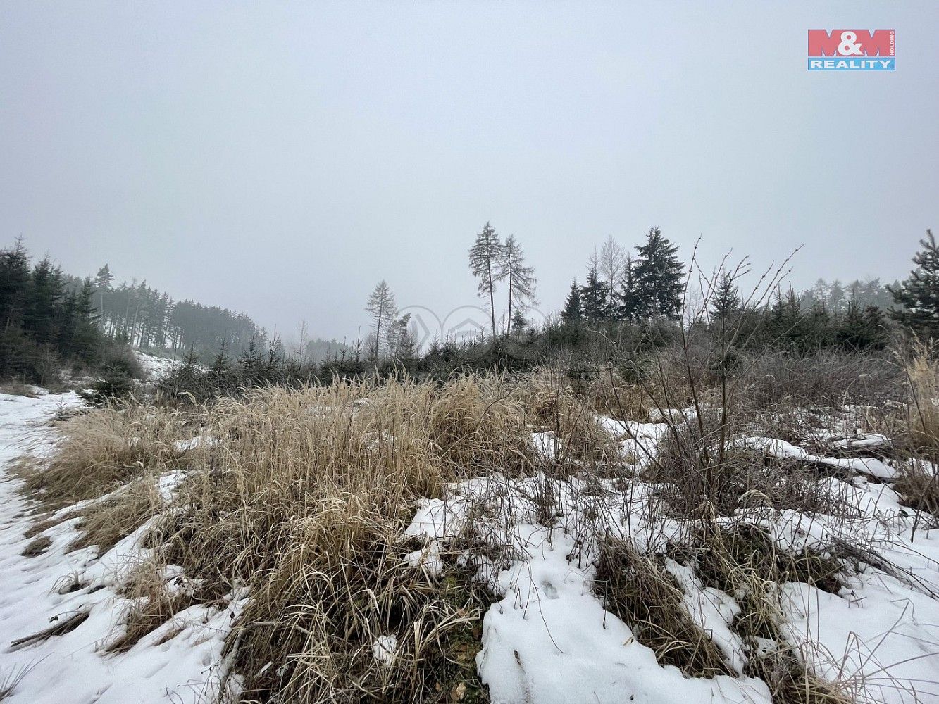 Lesy, Vidochov - Stupná, okres Jičín, Královéhradecký kraj - 1