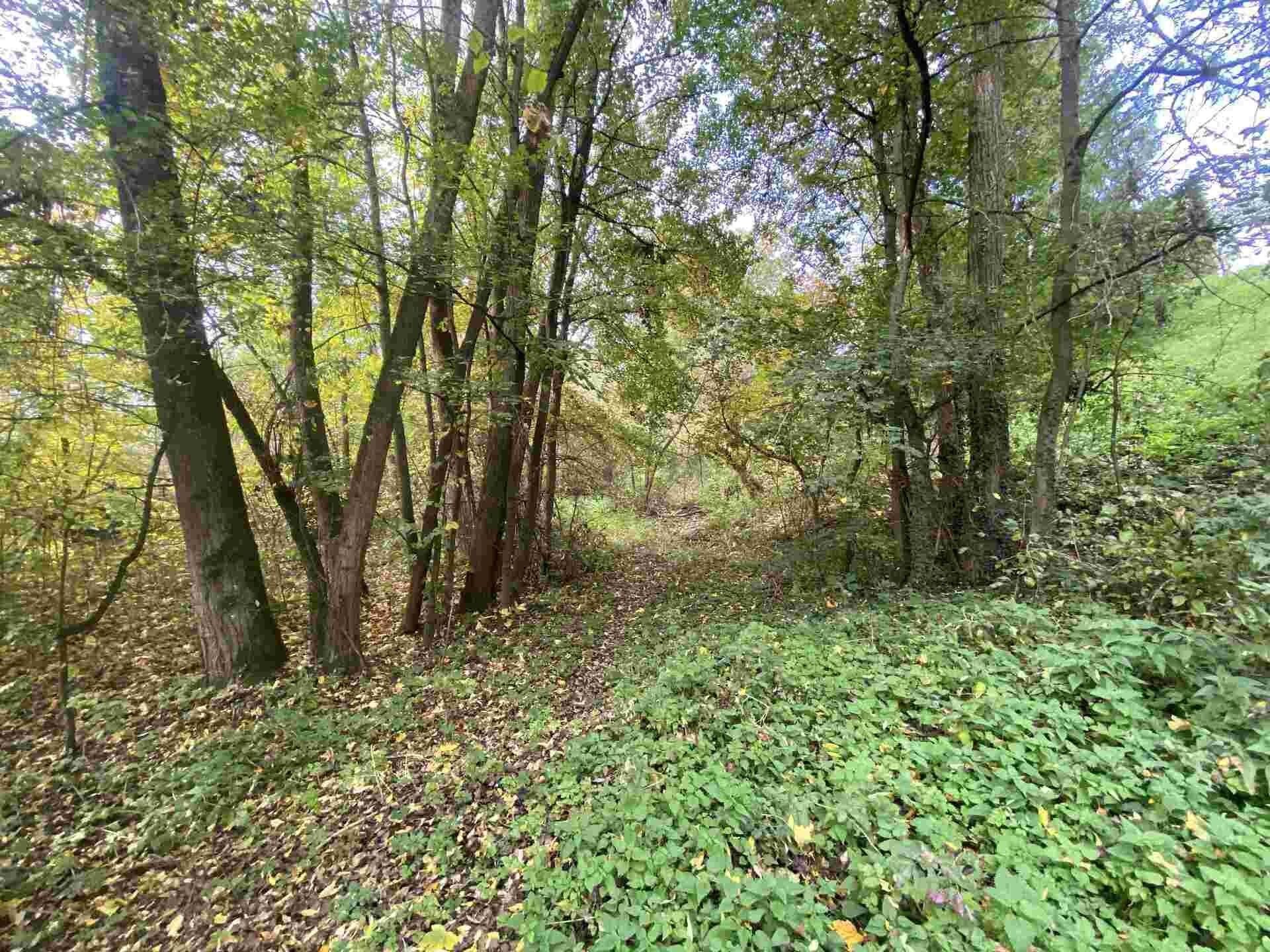 Ostatní, Svijany, 1 m²