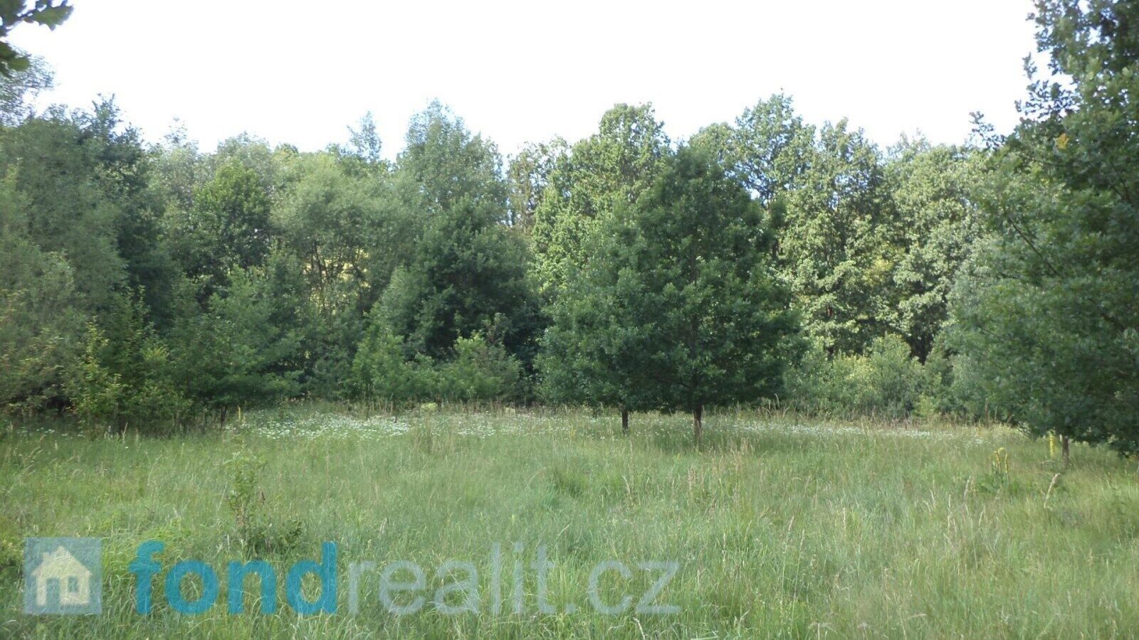Pozemek · 12 879 m² · Doudleby - 4