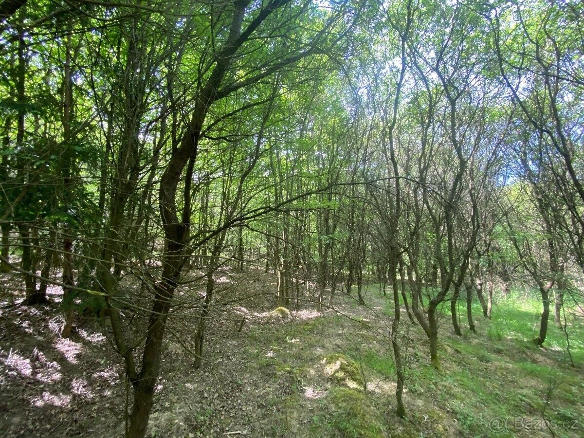 Stavební pozemek, Bohuslavice u Zlína – pohled 4