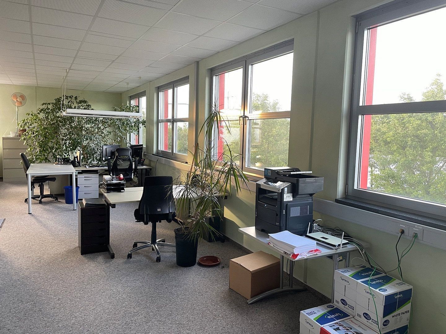 Pronájem kancelář - Mergelfeld 11, , Dolní Sasko, 230 m² - 5