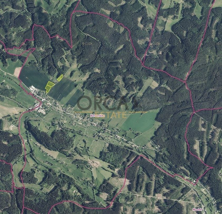 Prodej zemědělský pozemek - Borovnička, okres Trutnov - 2