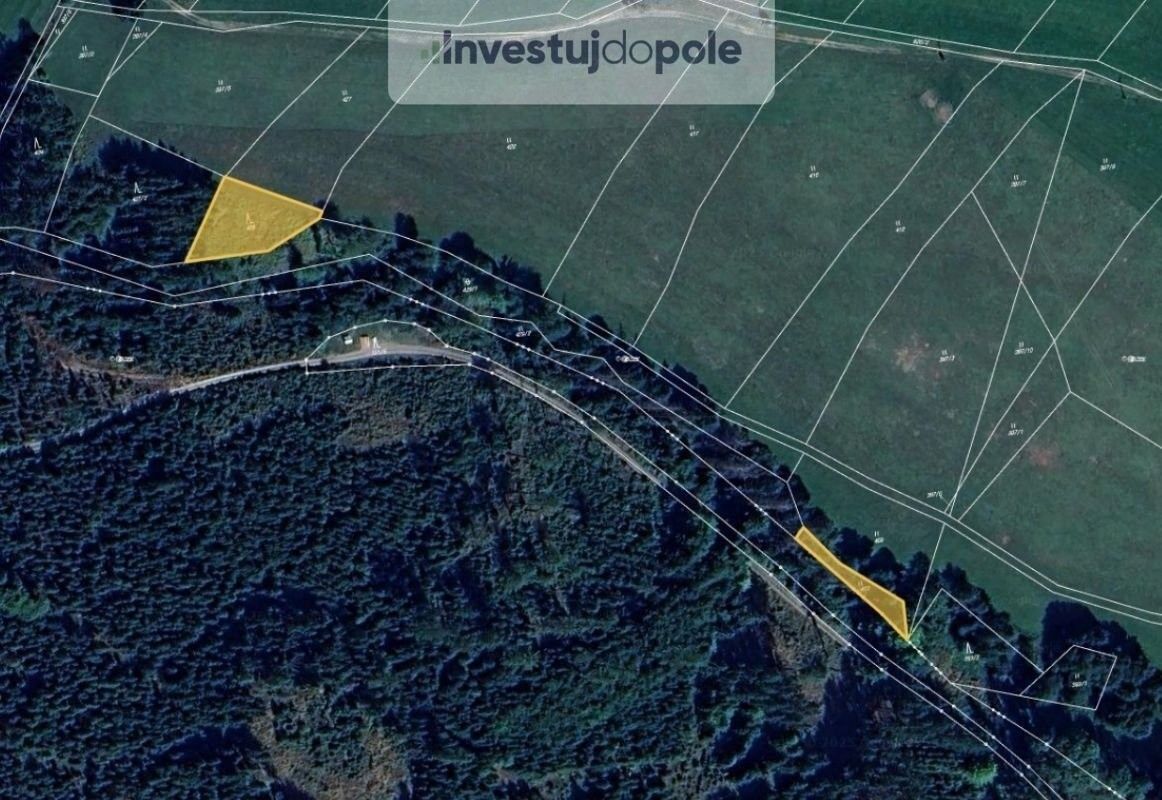 Prodej les - Prosíčka, 4 042 m²