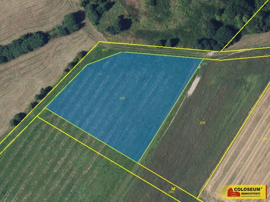 Prodej zemědělský pozemek - Brodek u Konice