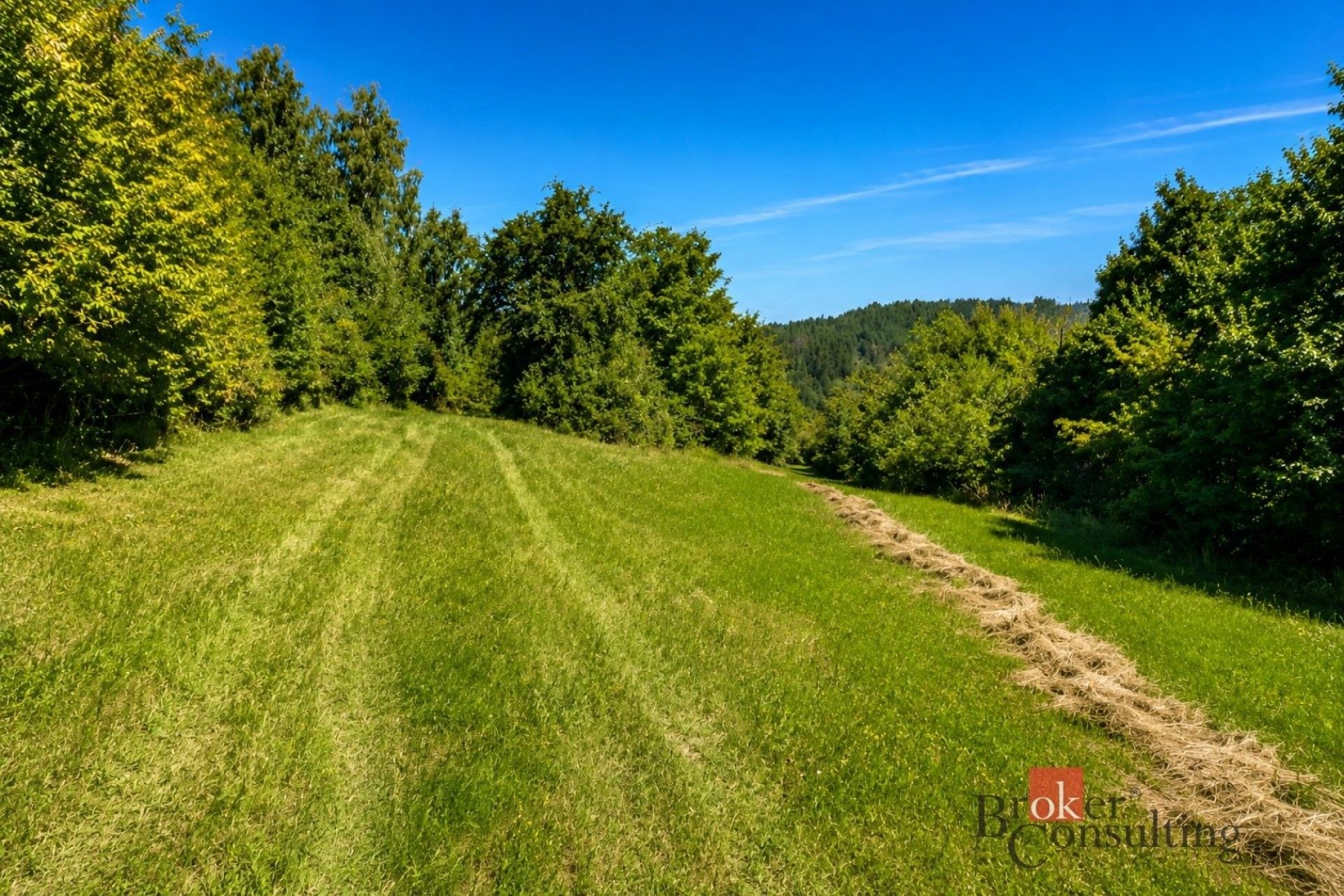 Prodej louka - Borotín, 3 075 m² - 5