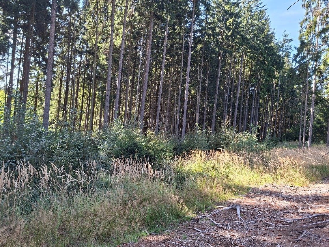 Prodej pozemek pro bydlení - Těmice u Kamenice nad Lipou, 394 96 - 5