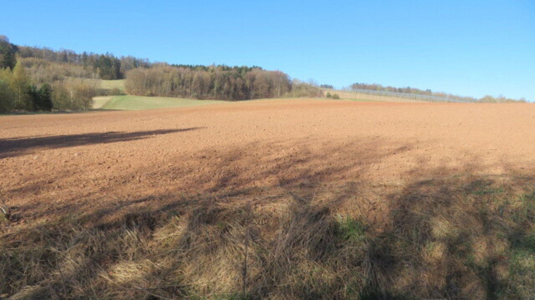 Zemědělský pozemek · Rakovník, Středočeský kraj - 4