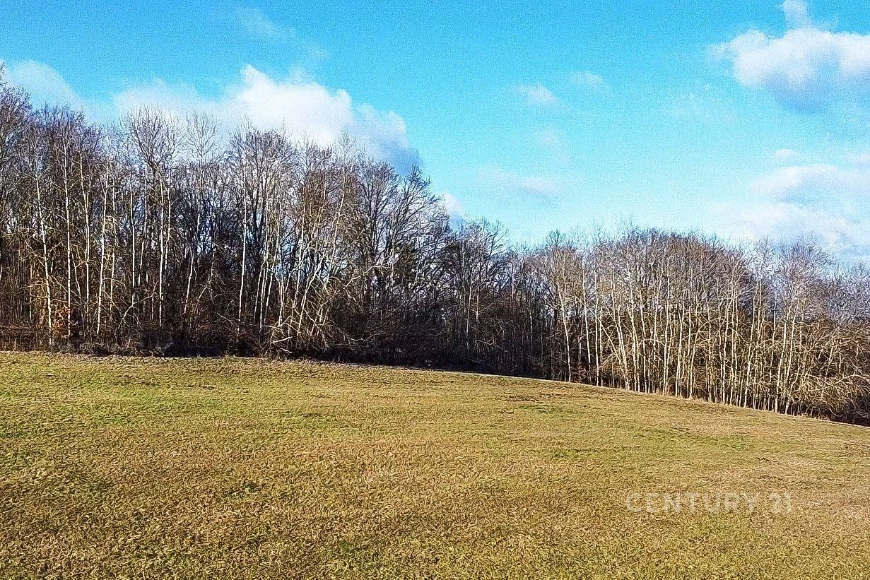 Ostatní, Těptín, Kamenice