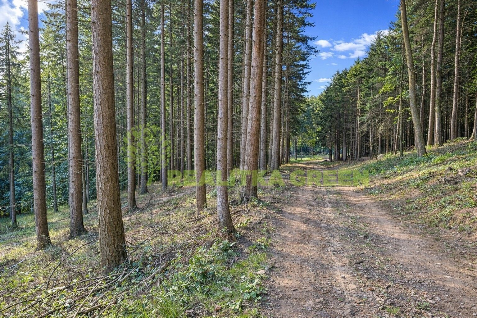 Lesy, Velíková, Zlín, 152 613 m²