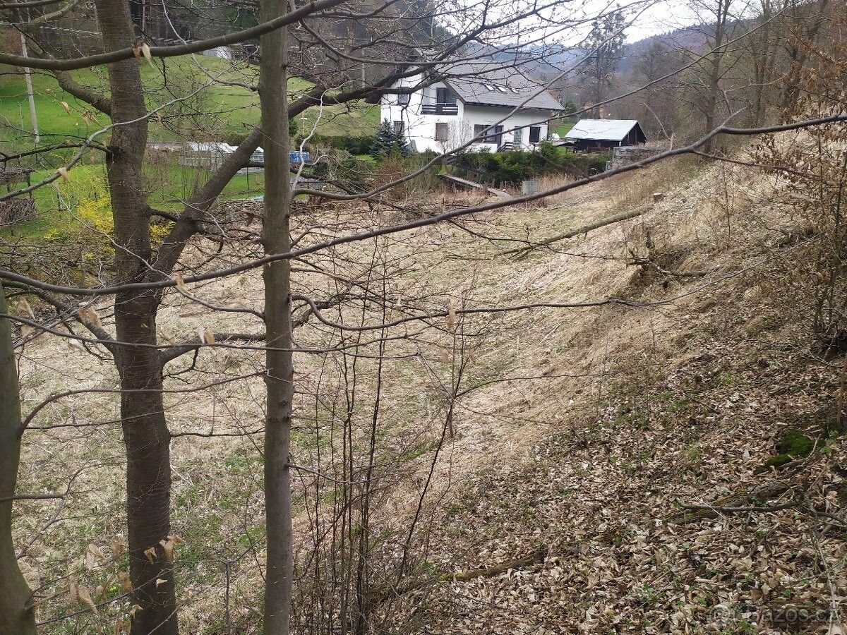 Prodej pozemek pro bydlení - Růžďka, 756 25