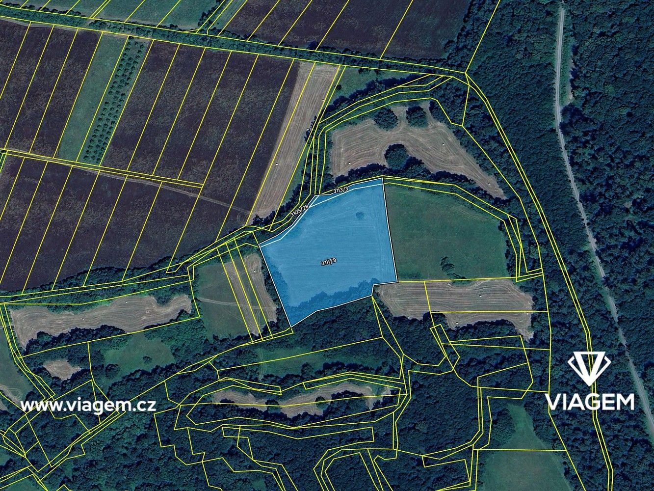 Zemědělský pozemek · Velká nad Veličkou, okres Hodonín - 4