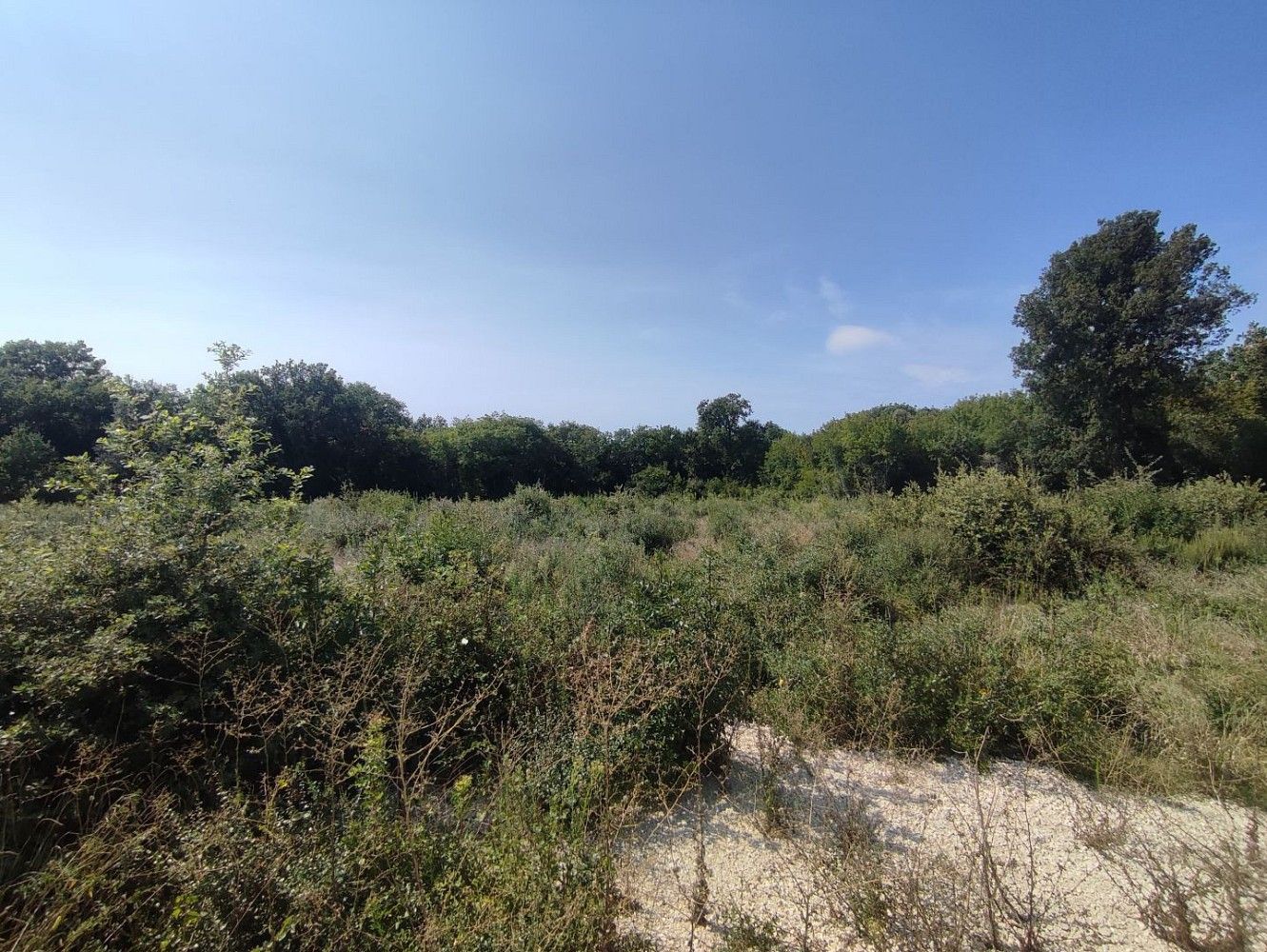 Pozemek pro bydlení, 800 m²