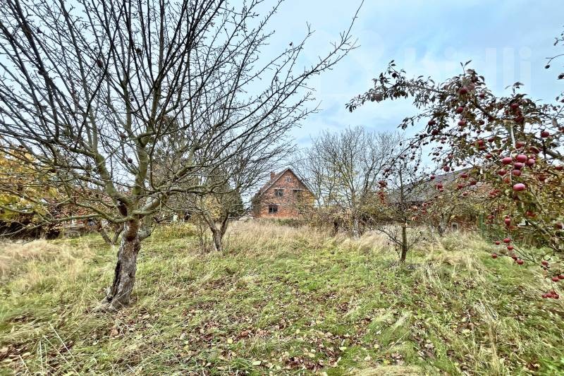 Rodinný dům · 180 m² · Mlékosrby - 3