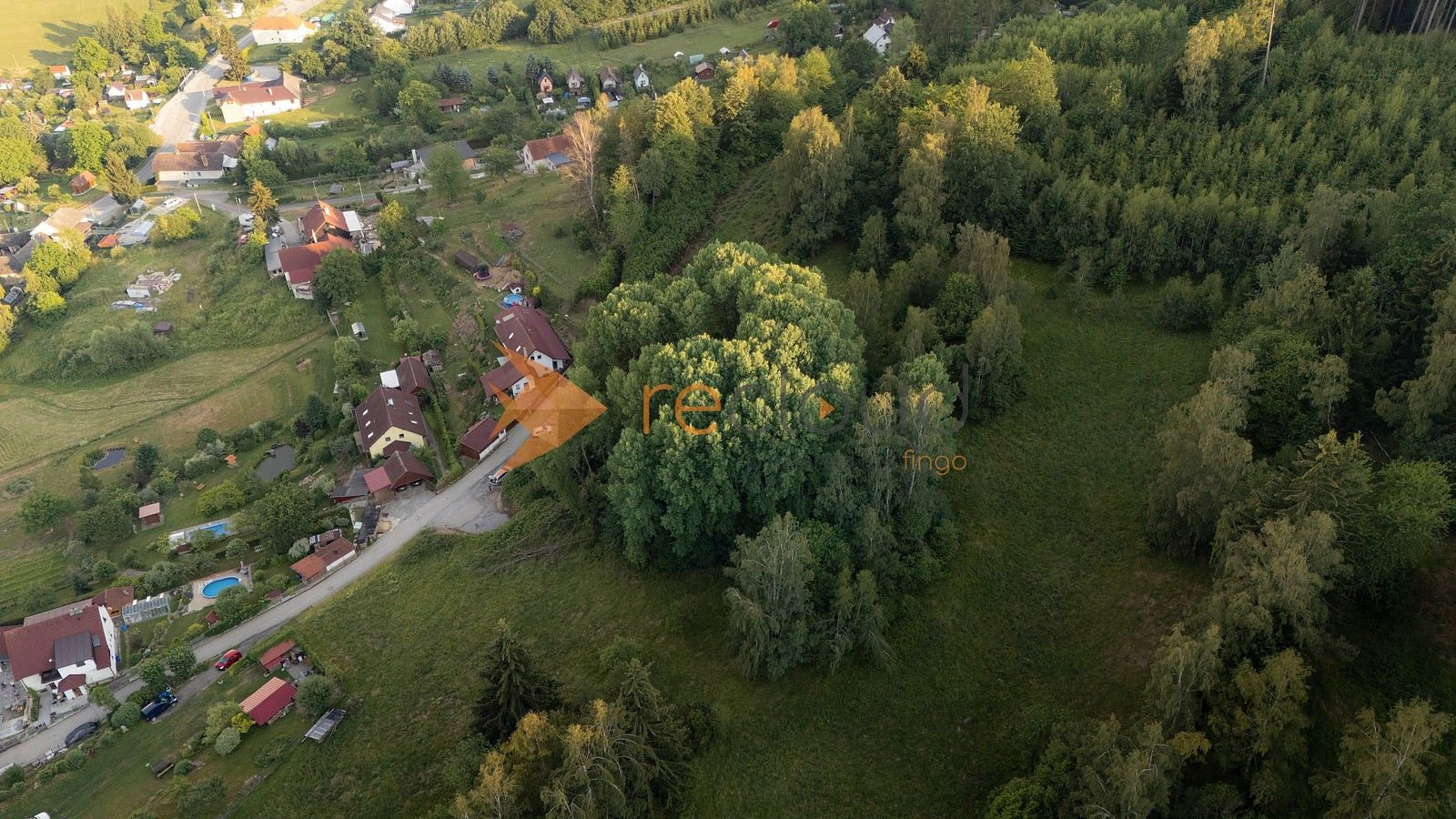 Les · Větřní, okres Český Krumlov, Jihočeský kraj - 4