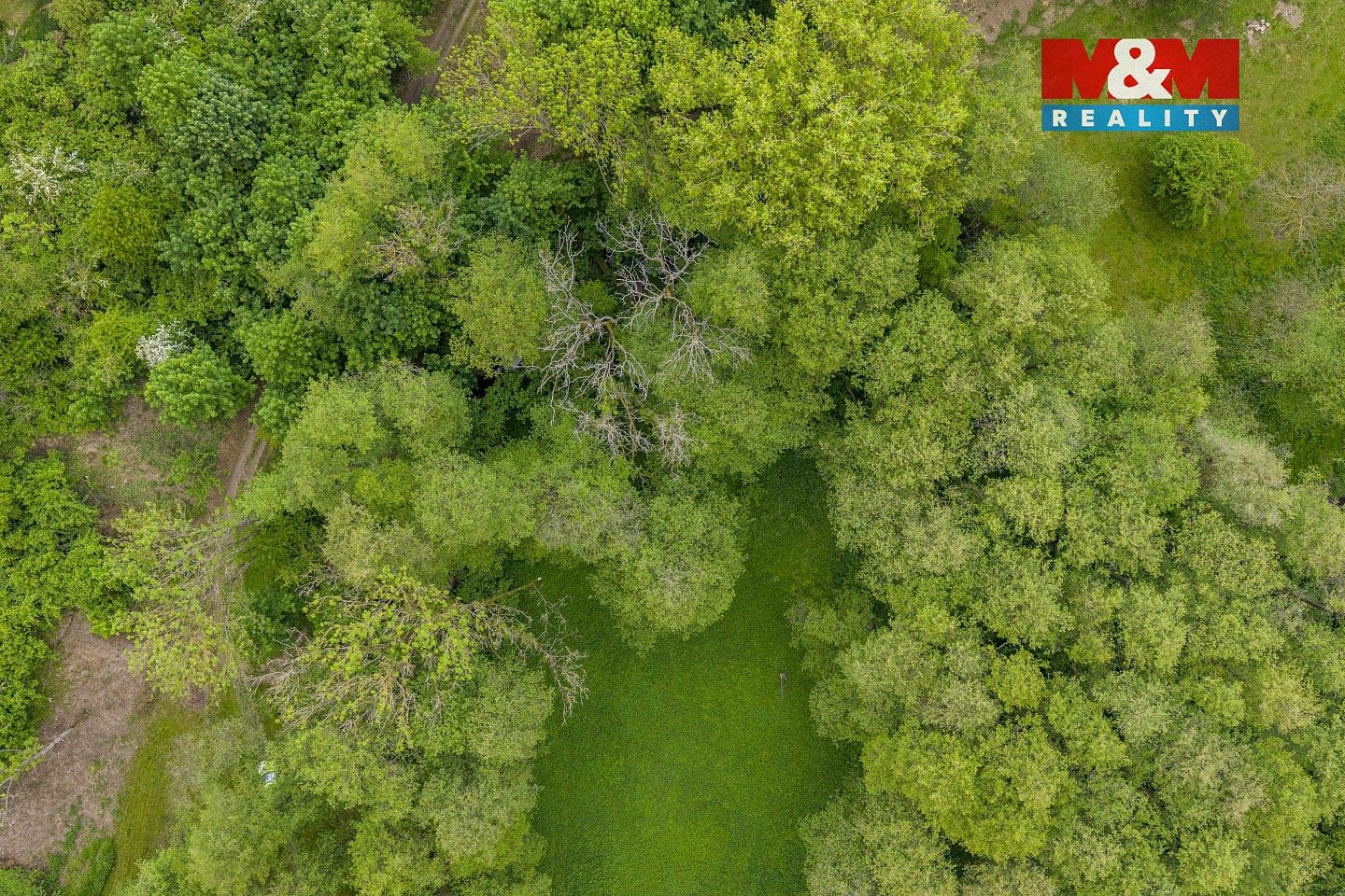 Lesy, Červené Pečky - Bohouňovice I, okres Kolín - 2