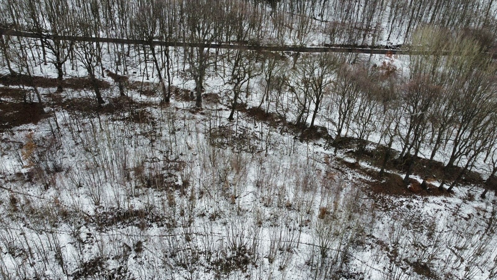 Pozemek pro bydlení · 40 513 m² · Podkrušnohorská  , Lom Loučná - 4