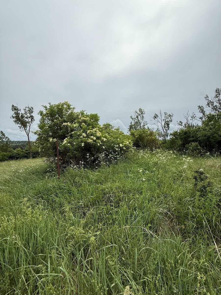 Zahrada · Uherčice u Znojma, 671 07 - 3