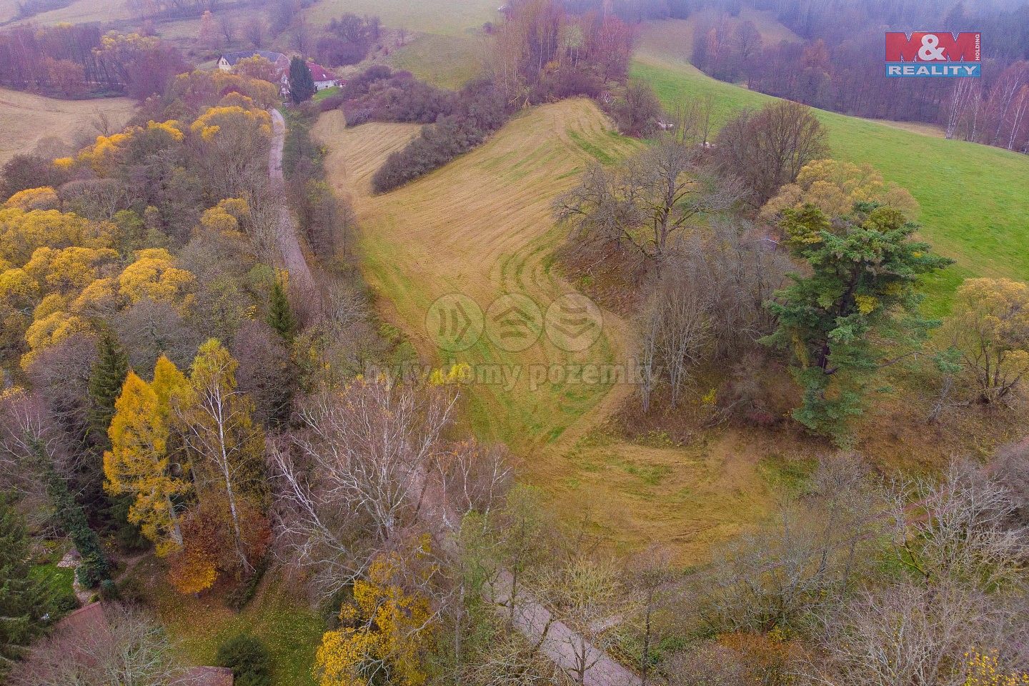 Louka · Hajnice, okres Trutnov - 4