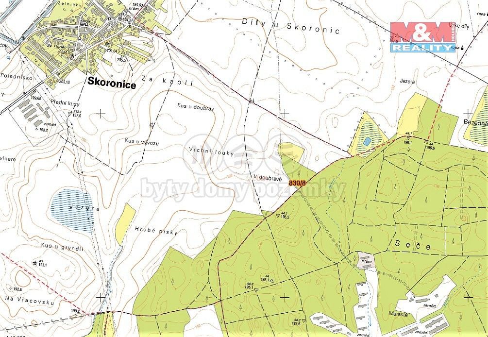 Les · Skoronice, okres Hodonín, Jihomoravský kraj - 3