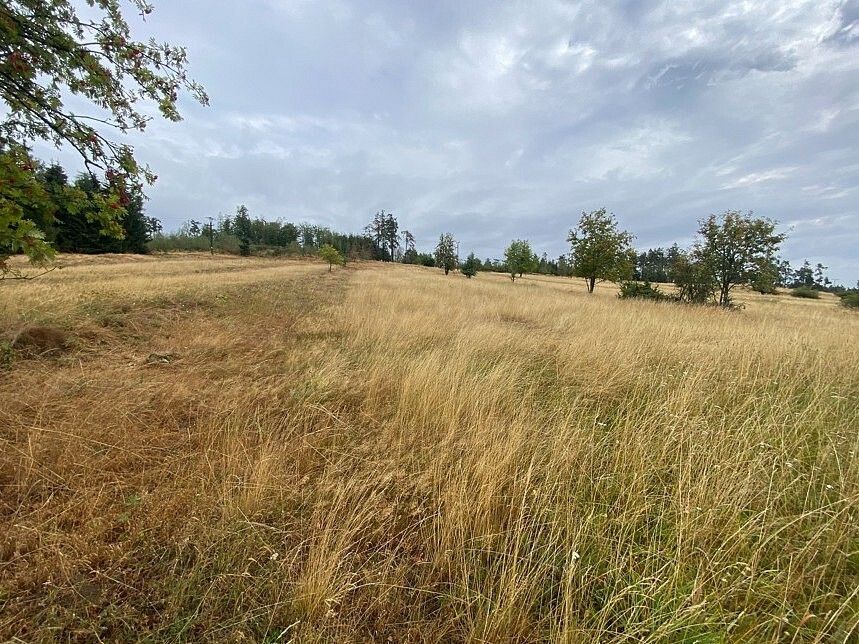Prodej louka - Český Rudolec, okres Jindřichův Hradec, Jihočeský kraj - 2