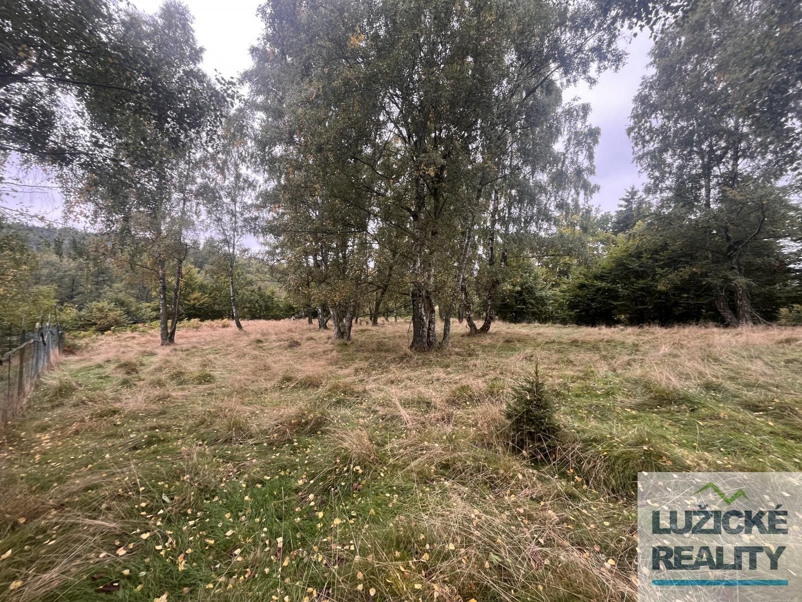 Prodej louka - Falknov, Kytlice, 4 475 m²