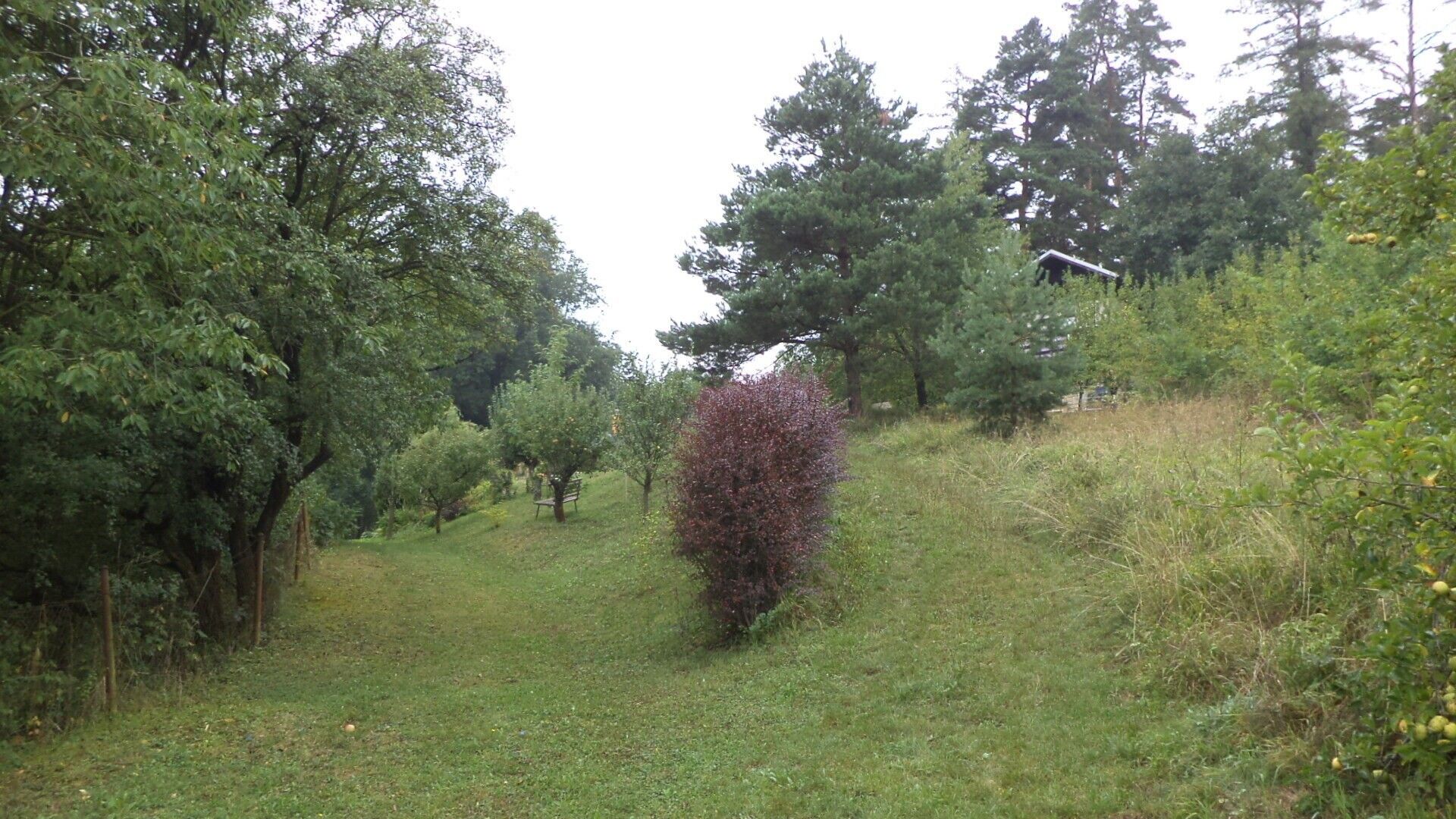 Prodej pozemek pro bydlení - Skuteč, 881 m²