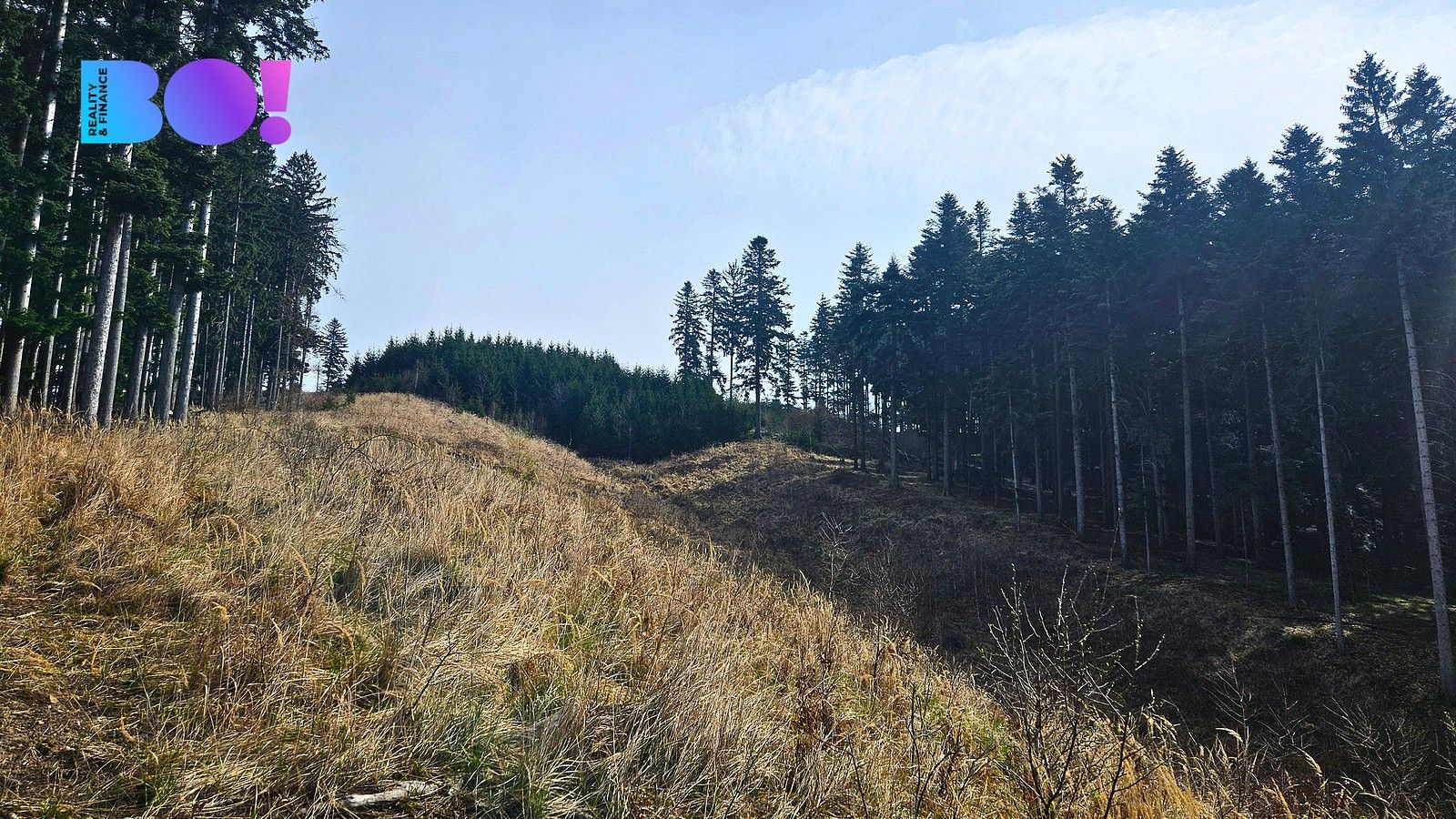 Les · Jasenná, okres Zlín, Zlínský kraj - 3
