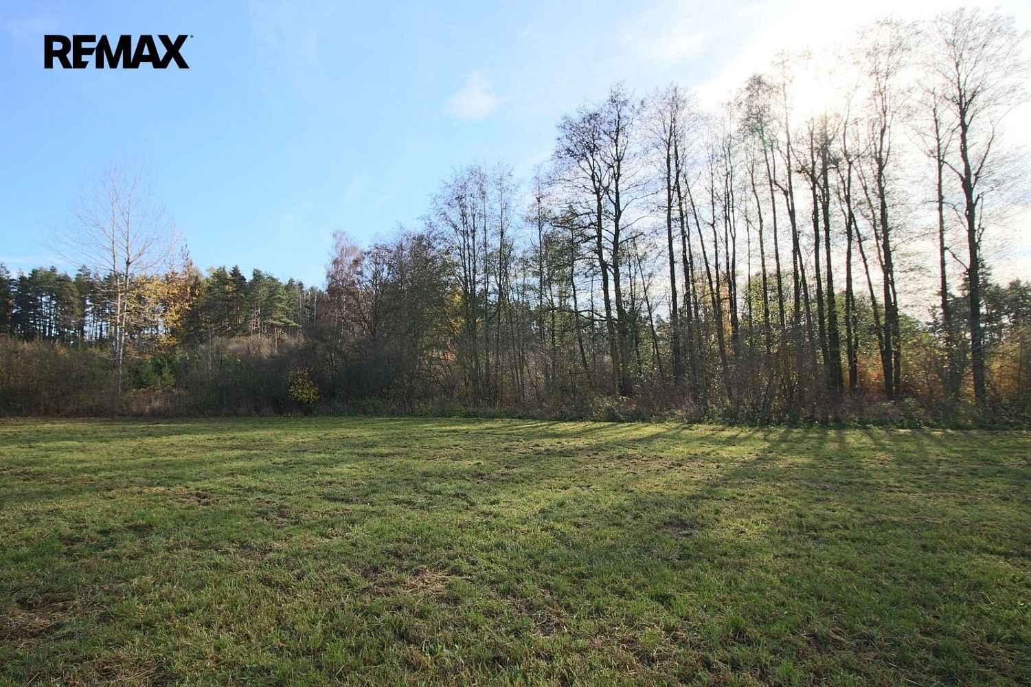 Prodej les - Břežany, okres Klatovy, Plzeňský kraj - 5
