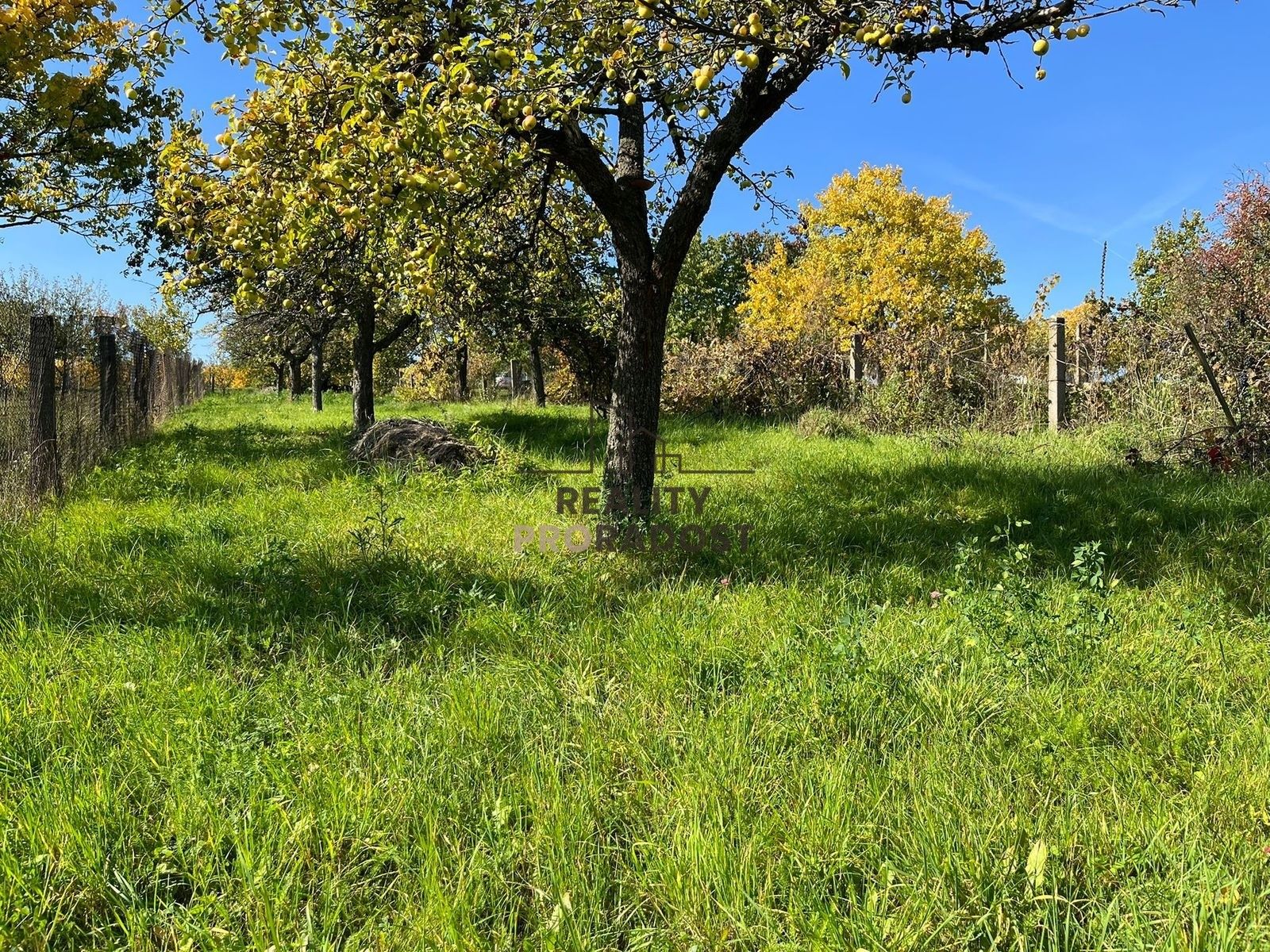 Pozemek pro bydlení · 526 m² · Bukovany - 3