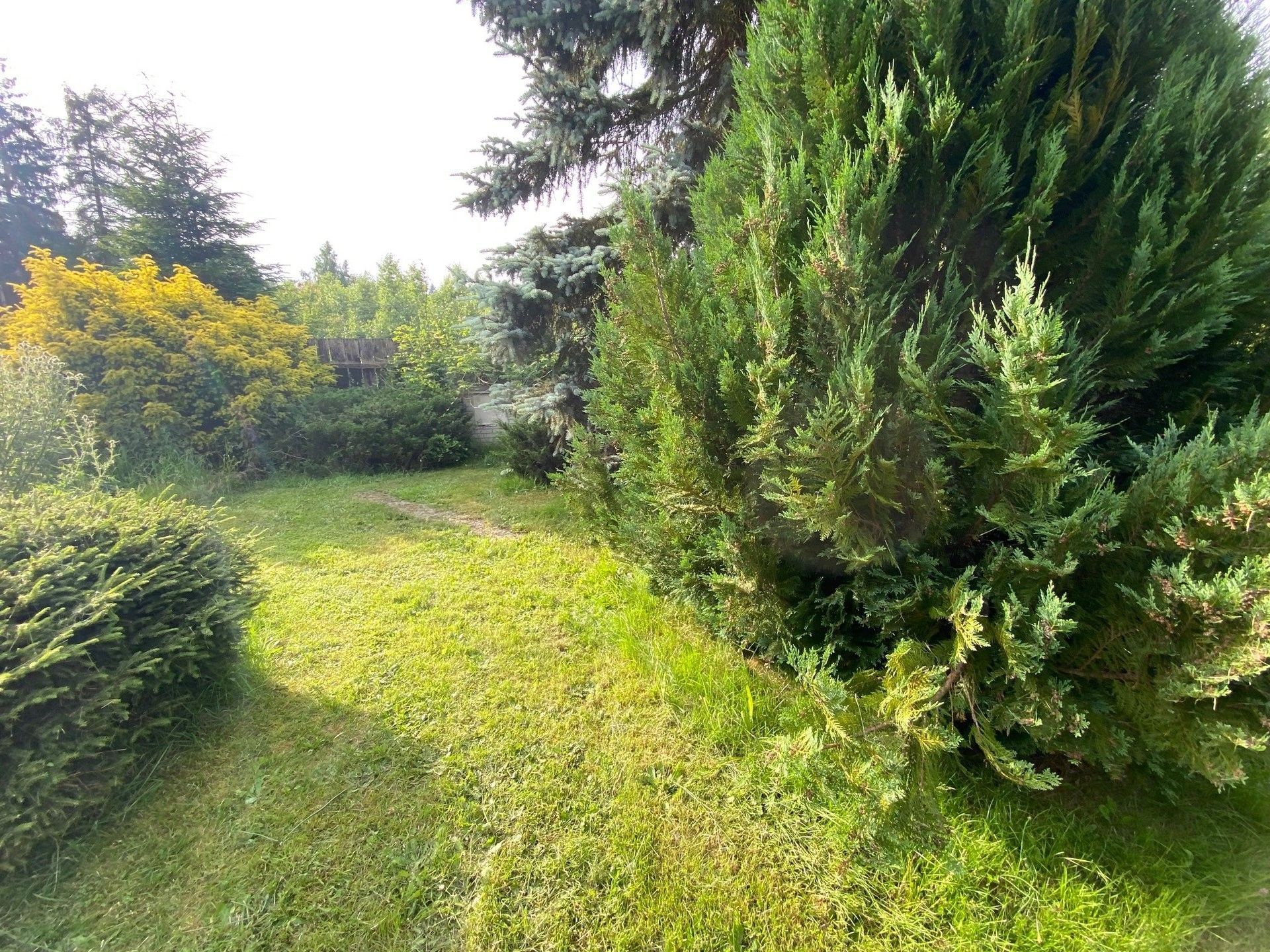 Zemědělská usedlost · 160 m² · Dobrovského, Hranice - 4
