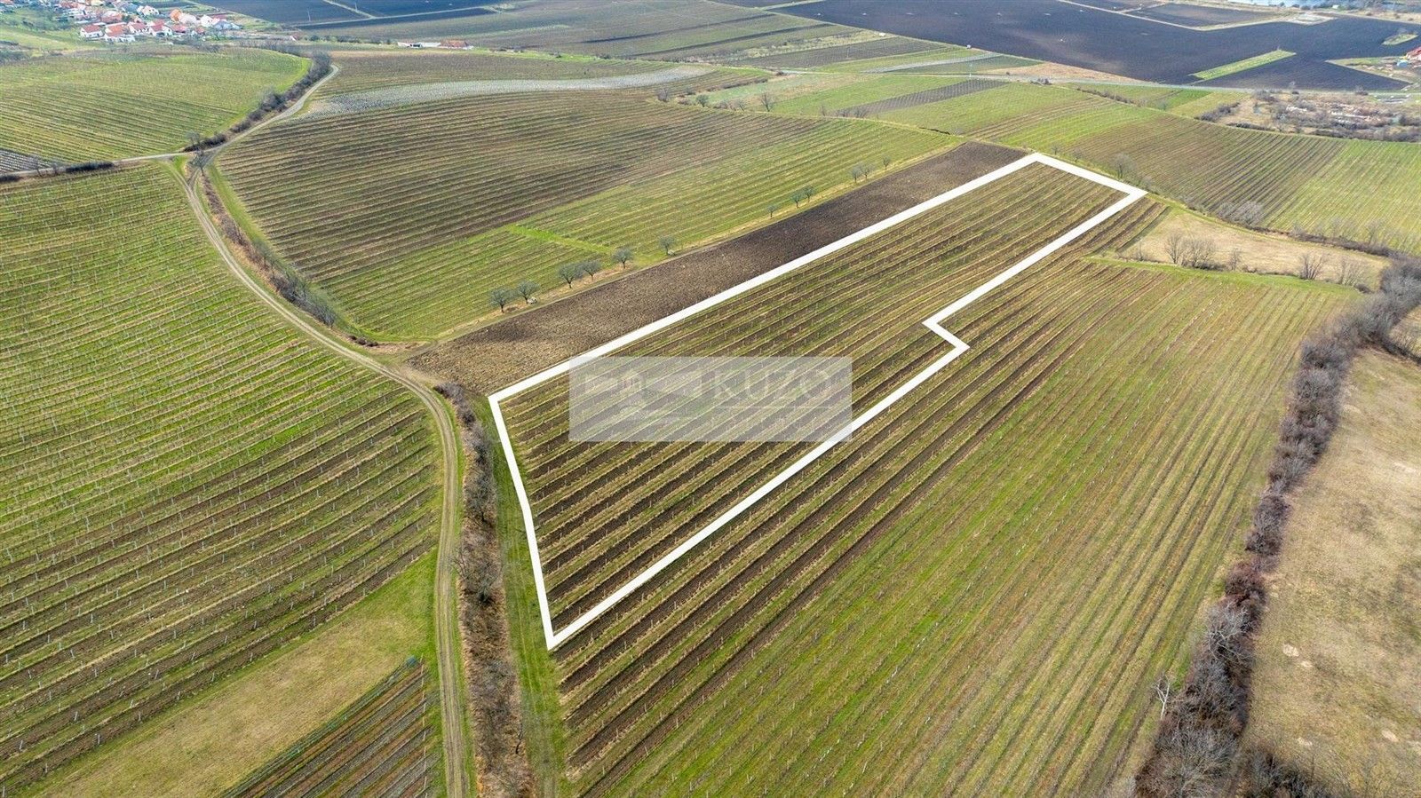 Prodej pozemek - Horní Věstonice, 25 733 m²