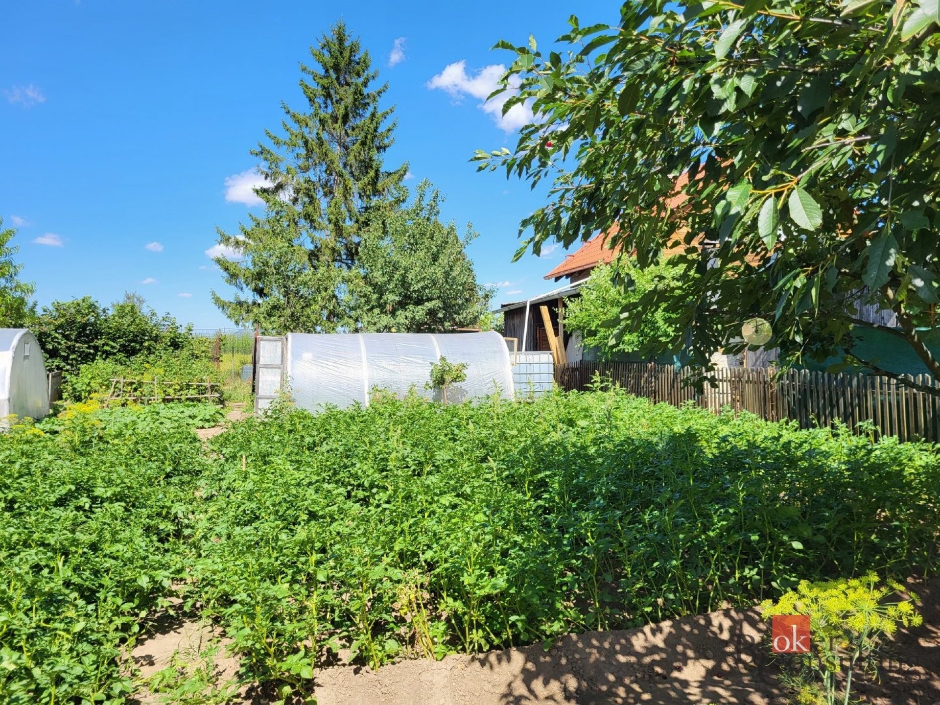 Prodej zahrada - Postoloprty, 305 m² - 5