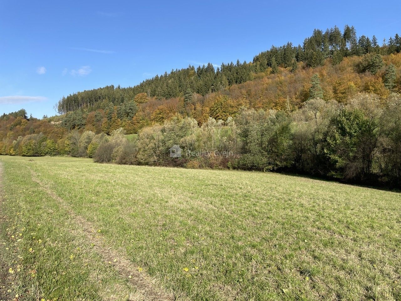Prodej zemědělský pozemek - Liptál, 4 762 m² - 5
