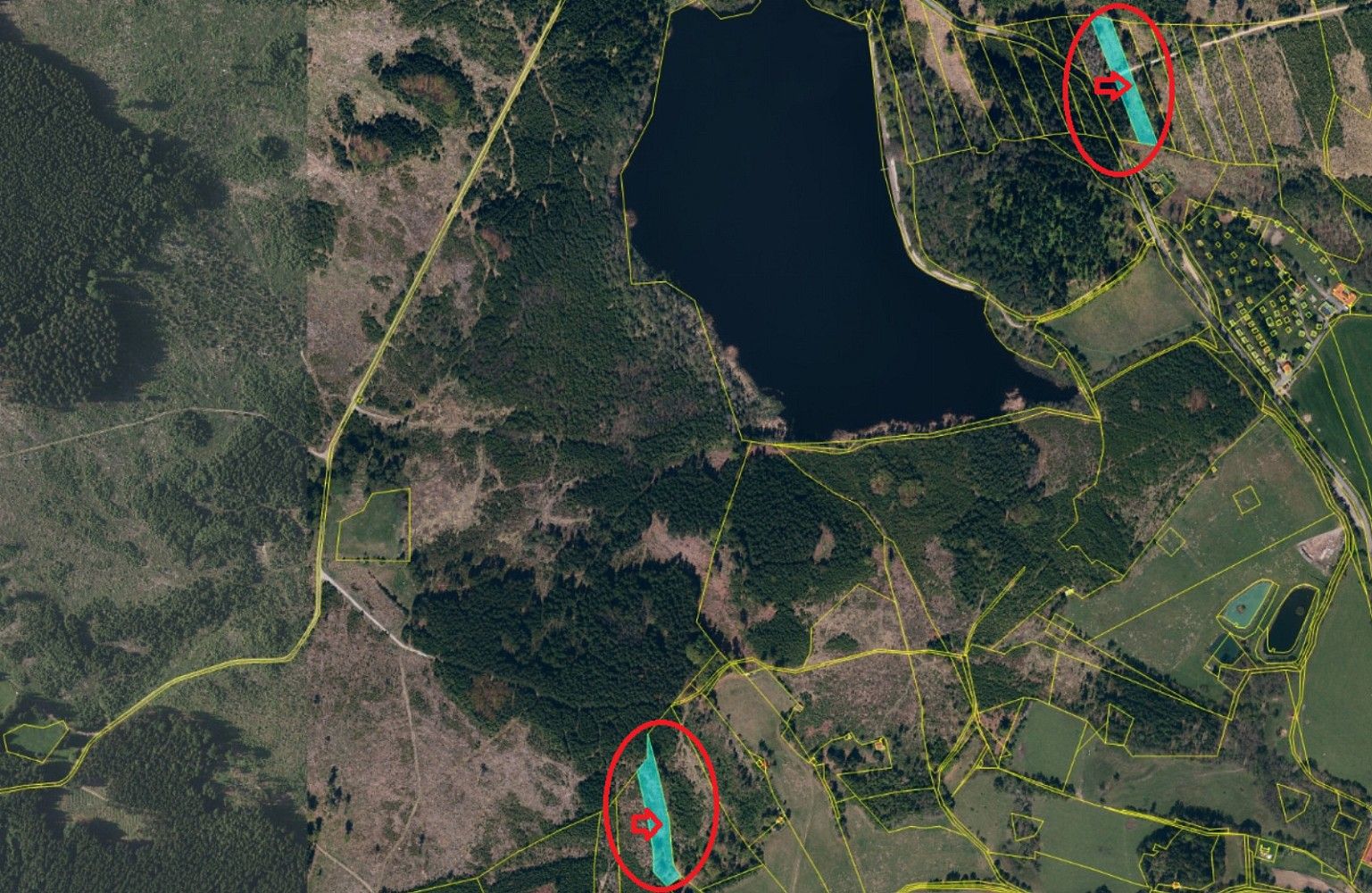 Prodej les - Bdeněves, okres Plzeň-sever, Plzeňský kraj - 2