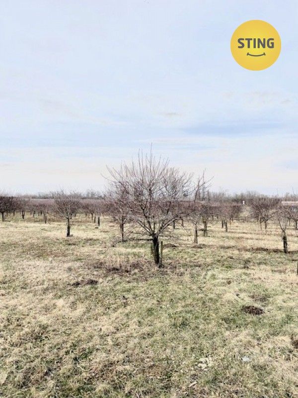 Prodej pozemek pro bydlení - Lužice u Hodonína, 696 18