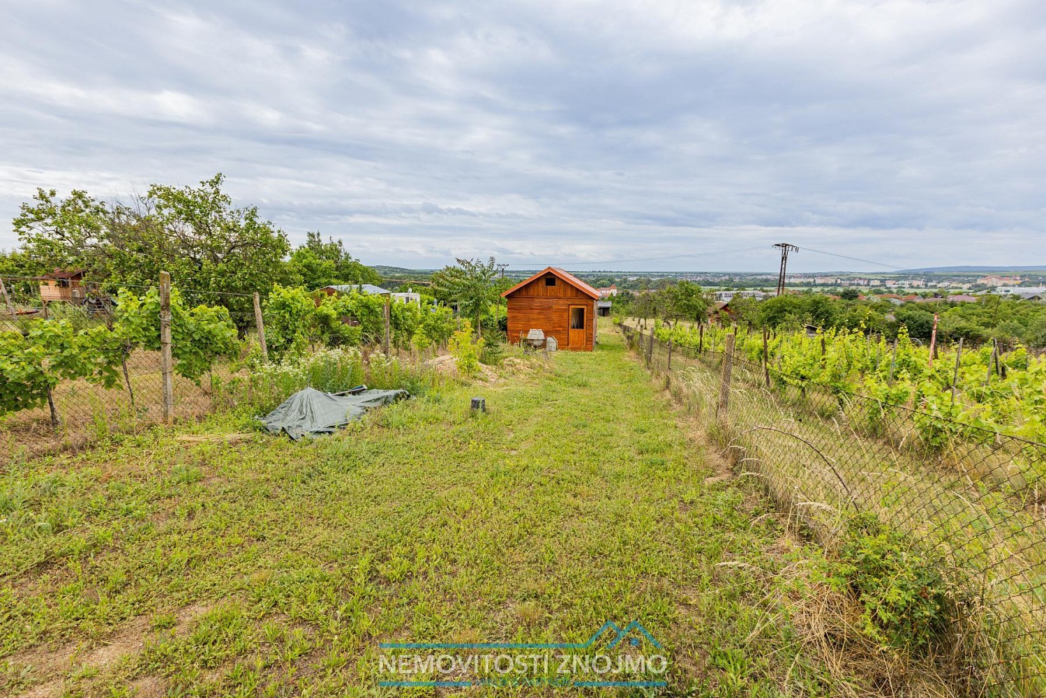 Chalupa · 40 m² · K Hájku, Dobšice, okres Znojmo - 4