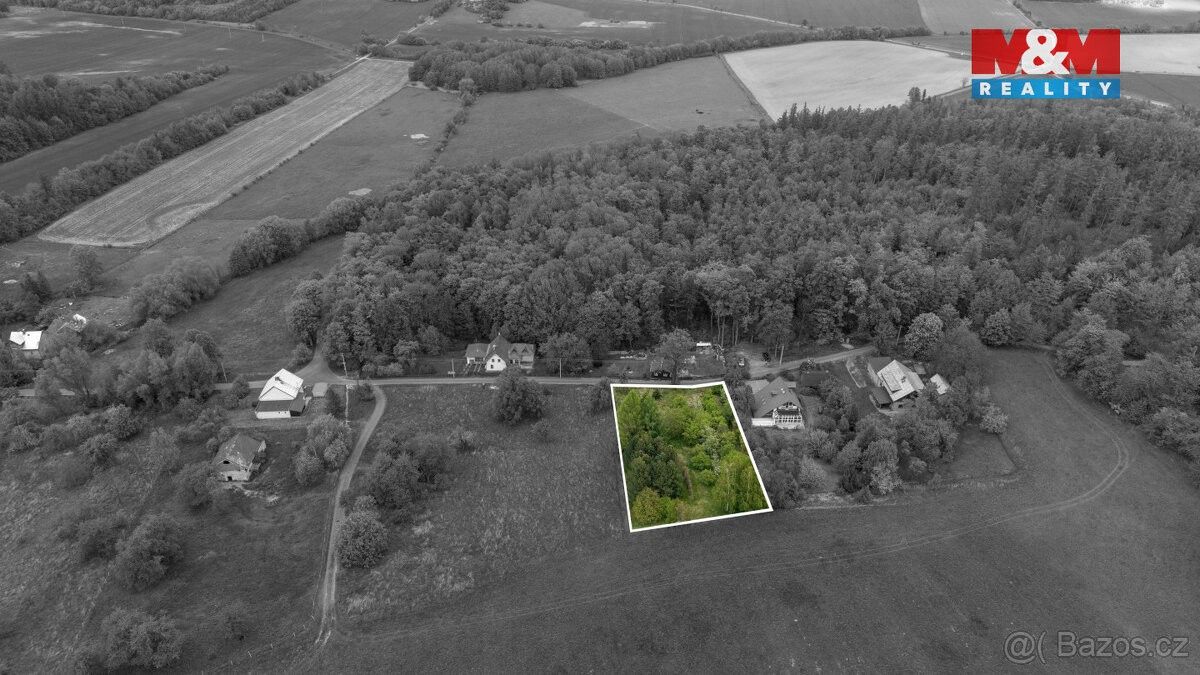 Prodej pozemek pro bydlení - Město Albrechtice, 793 95