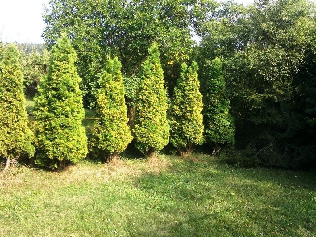 Zahrady, Líšnice, 789 85