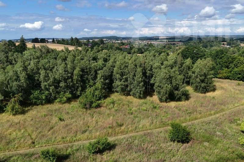 Prodej zemědělský pozemek - Husova, Velké Popovice