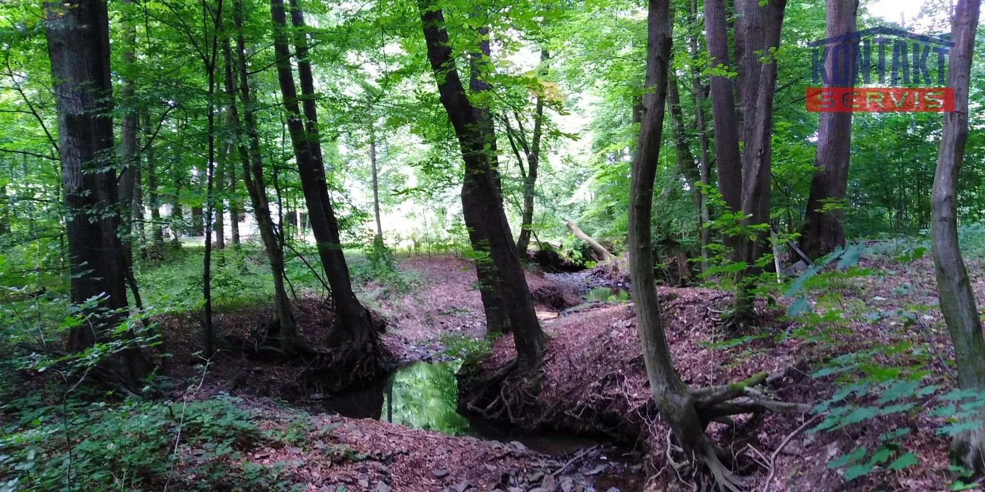 Lesy, Hrabyně - 2