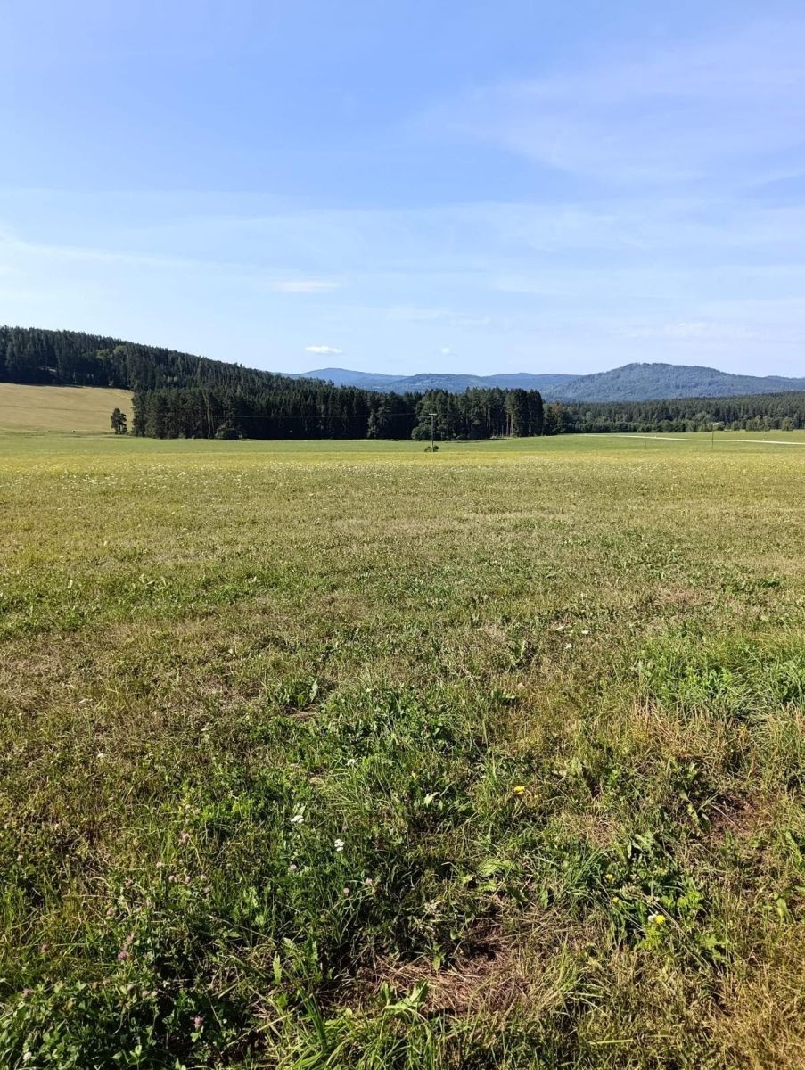 Pozemek pro bydlení · Malšín - Ostrov na Šumavě, Jihočeský kraj - 3